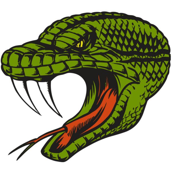 BAW SNAKE 14 RC Thumbnail